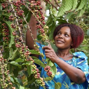 ETHIOPIA