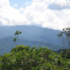 COSTA RICA - Image 4