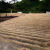 El Salvador - Image 2