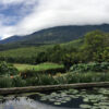 Guatemala - Image 4