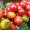 Guatemala - Image 6