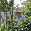 Honduras Filter Roast - Image 4