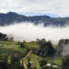 Honduras - Image 4