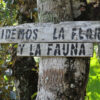 Honduras - Image 2
