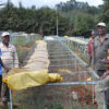 Kenya - Image 7