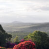 Kenya - Image 9