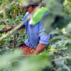 COLOMBIA - Image 3