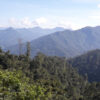 Intenso Espresso Blend - Image 5
