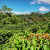 El Salvador - Image 3