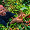 Kenya - Image 3