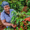 Kenya - Image 2
