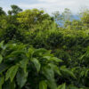 Peru - Image 2