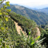 El Salvador - Image 6