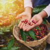 Colombia Pink Borbon Punch - Image 3
