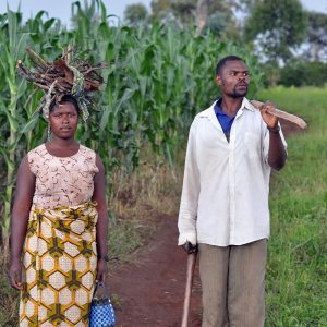 TANZANIA - Image 3