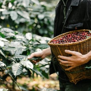 BURUNDI